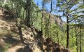 (147) The trail down into the Caldera Taburiente